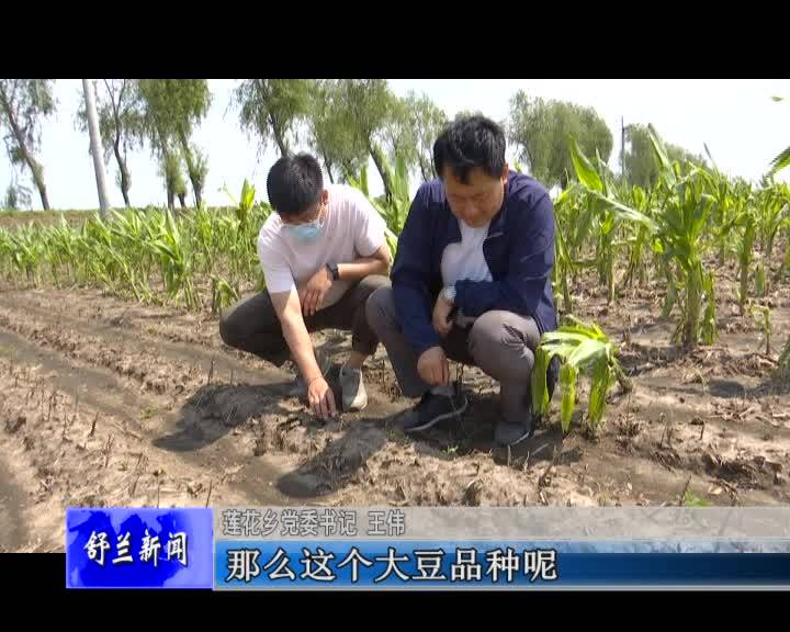 莲花乡多种举措恢复灾后农业生产