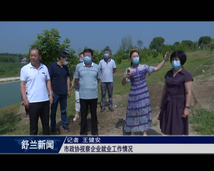舒兰市政协视察企业就业工作情况