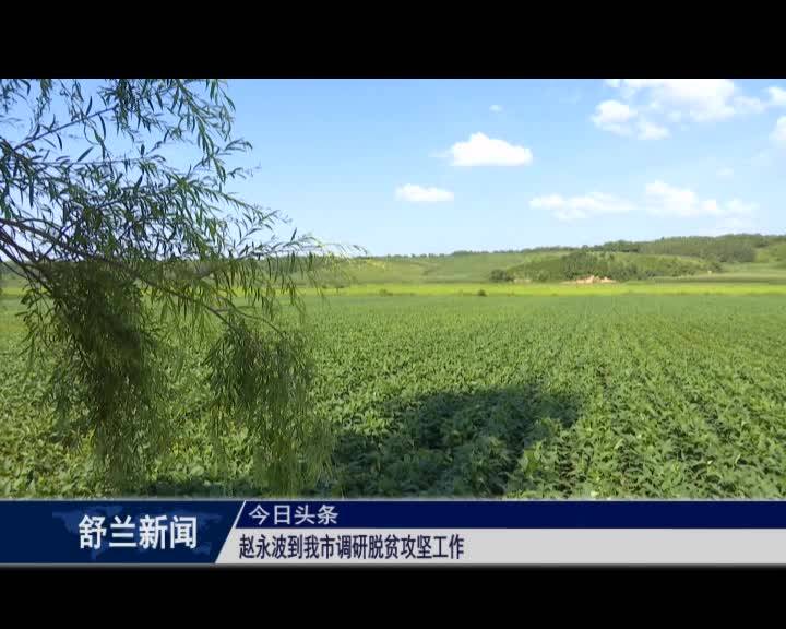 赵永波到舒兰市调研脱贫攻坚工作