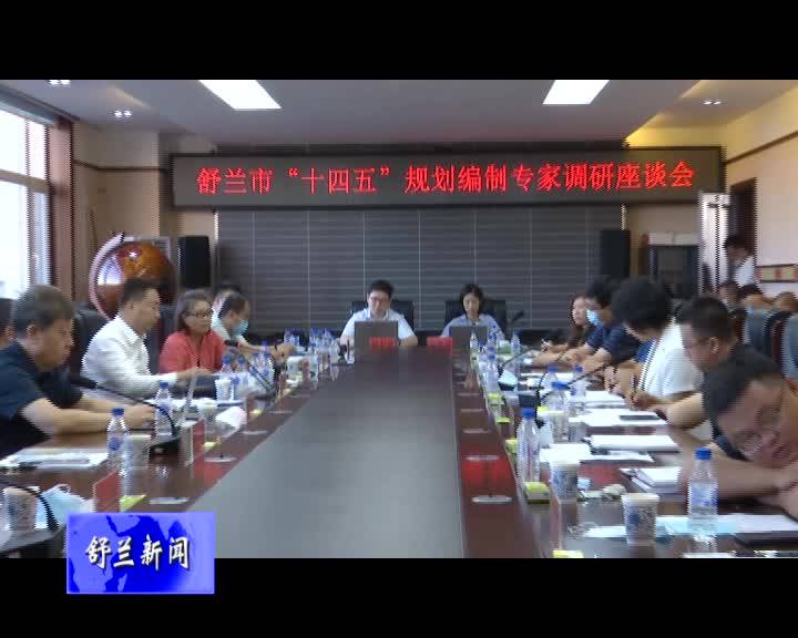 国研智库专家及特邀专家组为舒兰市发展献计献策