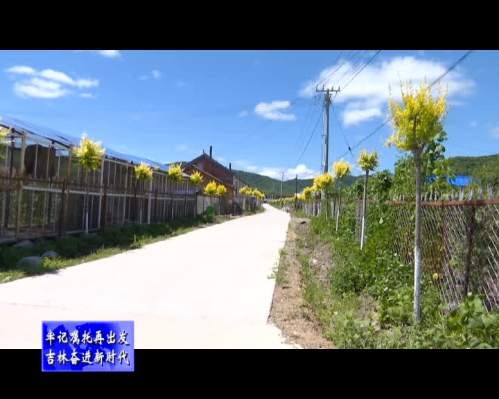 新安乡：开展人居环境整治 打造美丽乡村