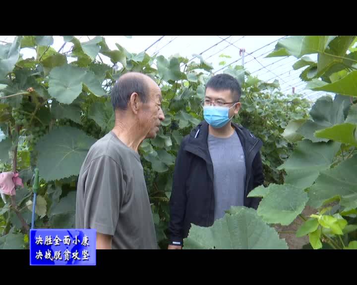王亭砚：90后第一书记的无悔青春
