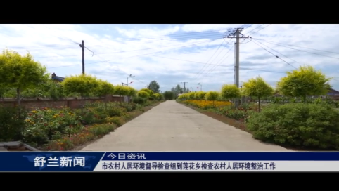 舒兰市农村人居环境督导检查组到莲花乡检查农村人居环境整治工作