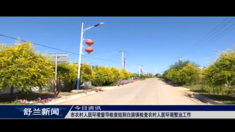 舒兰市农村人居环境督导检查组到白旗镇检查农村人居环境整治工作