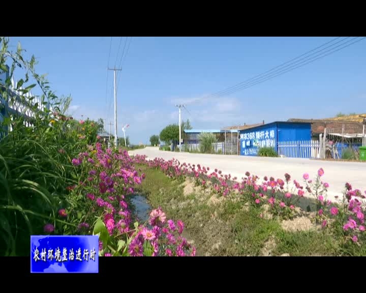 舒兰市农村人居环境督导检查组到开原镇检查农村人居环境整治工作