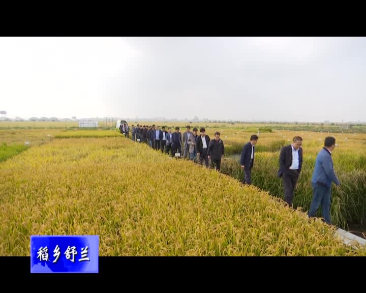 舒兰市举办2020年北方优质水稻舒兰大米研讨会