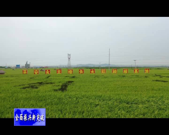 舒兰市以“双轮驱动”思维为发展赋能