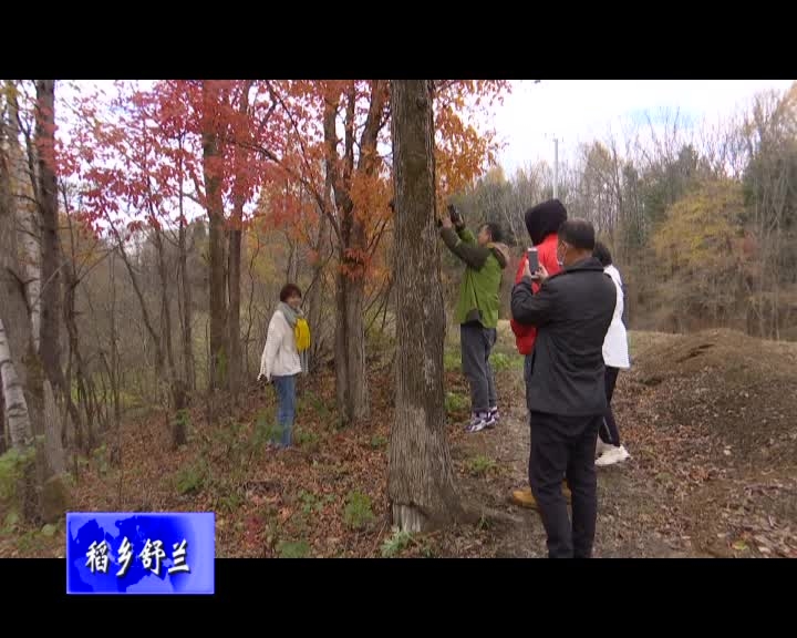 吉林网络广播电视台《仙女驾到》、吉林卫视《身边发现》栏目组到舒兰市采访拍摄