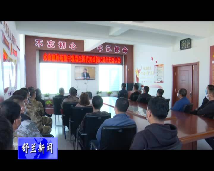 舒兰市组织收听收看纪念中国人民志愿军抗美援朝出国作战70周年大会实况