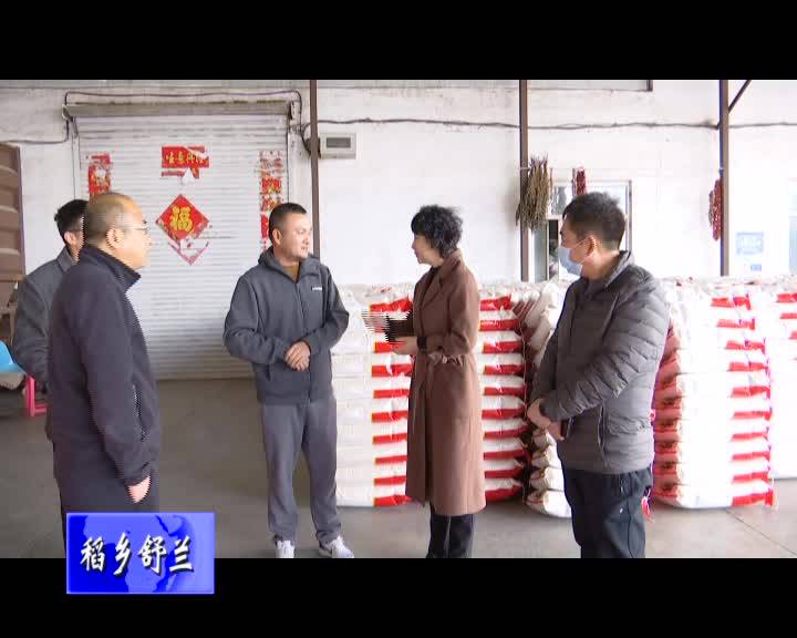金华到金马镇调研大米企业生产经营情况