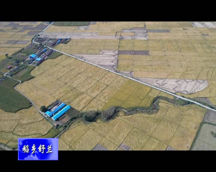 舒兰市今年粮食产量预计达120万吨
