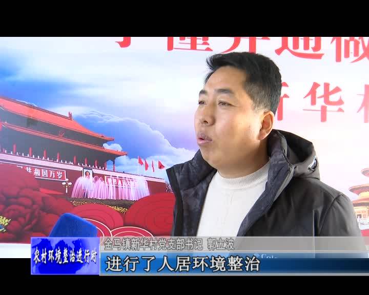 金马镇大力开展农村环境整治工作