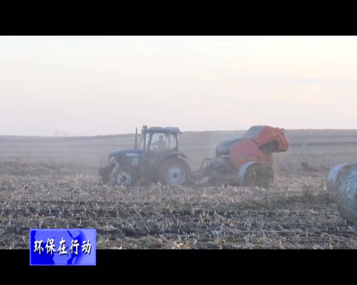 金华现场督办秸秆禁烧和秸秆综合利用工作