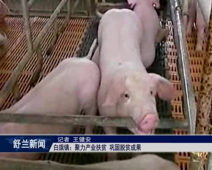舒兰市白旗镇：聚力产业扶贫 巩固脱贫成果