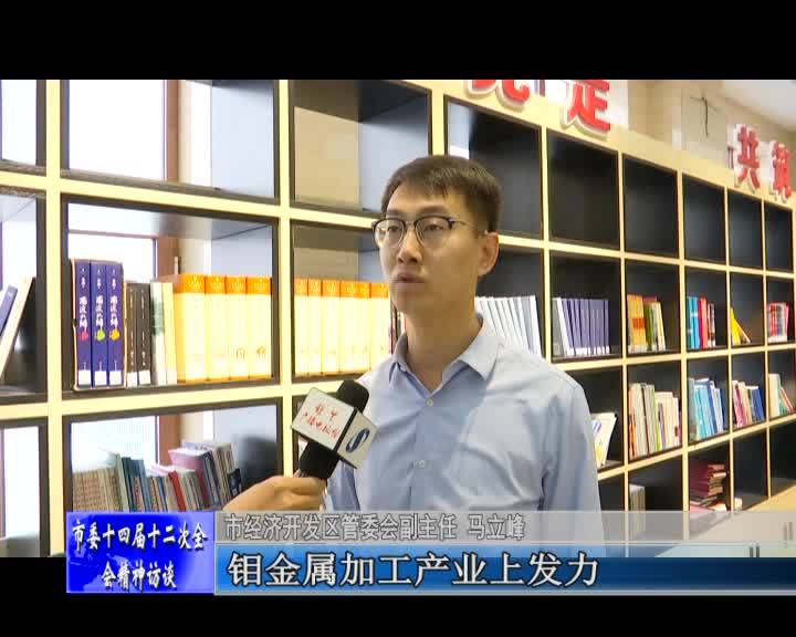 学习贯彻落实市委十四届十二次全会精神访谈——访市经济开发区管委会副主任 马立峰