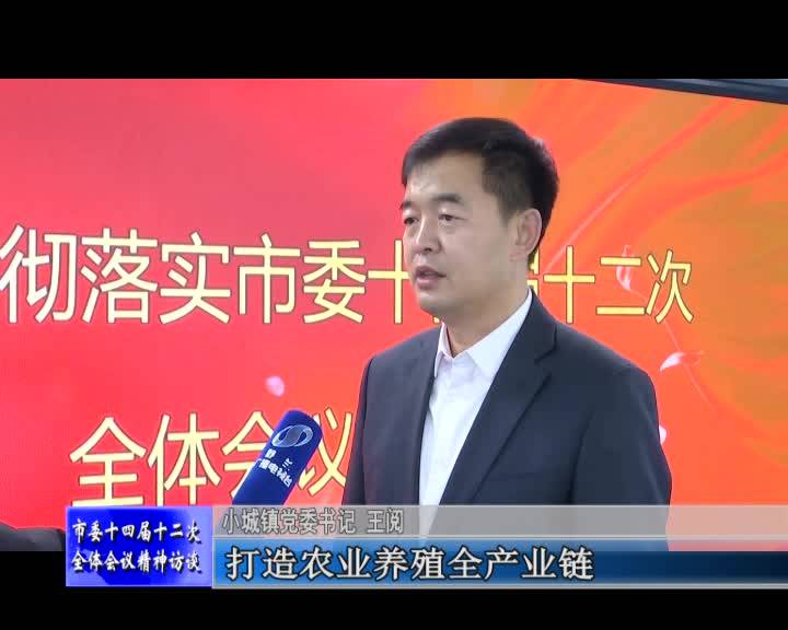 学习贯彻落实市委十四届十二次全体会议精神访谈——访小城镇党委书记 王阅