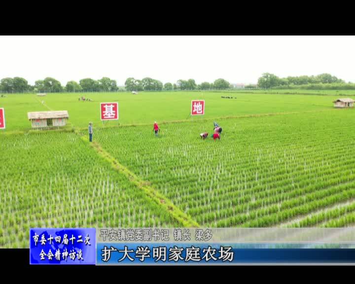 学习贯彻落实市委十四届十二次全体会议精神--访平安镇党委副书记镇长梁多