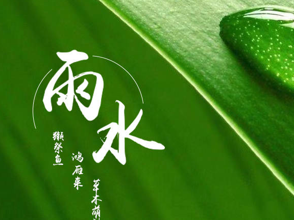 雨水