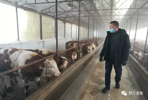 增量提质 保持第一——舒兰市肉牛产业发展综述
