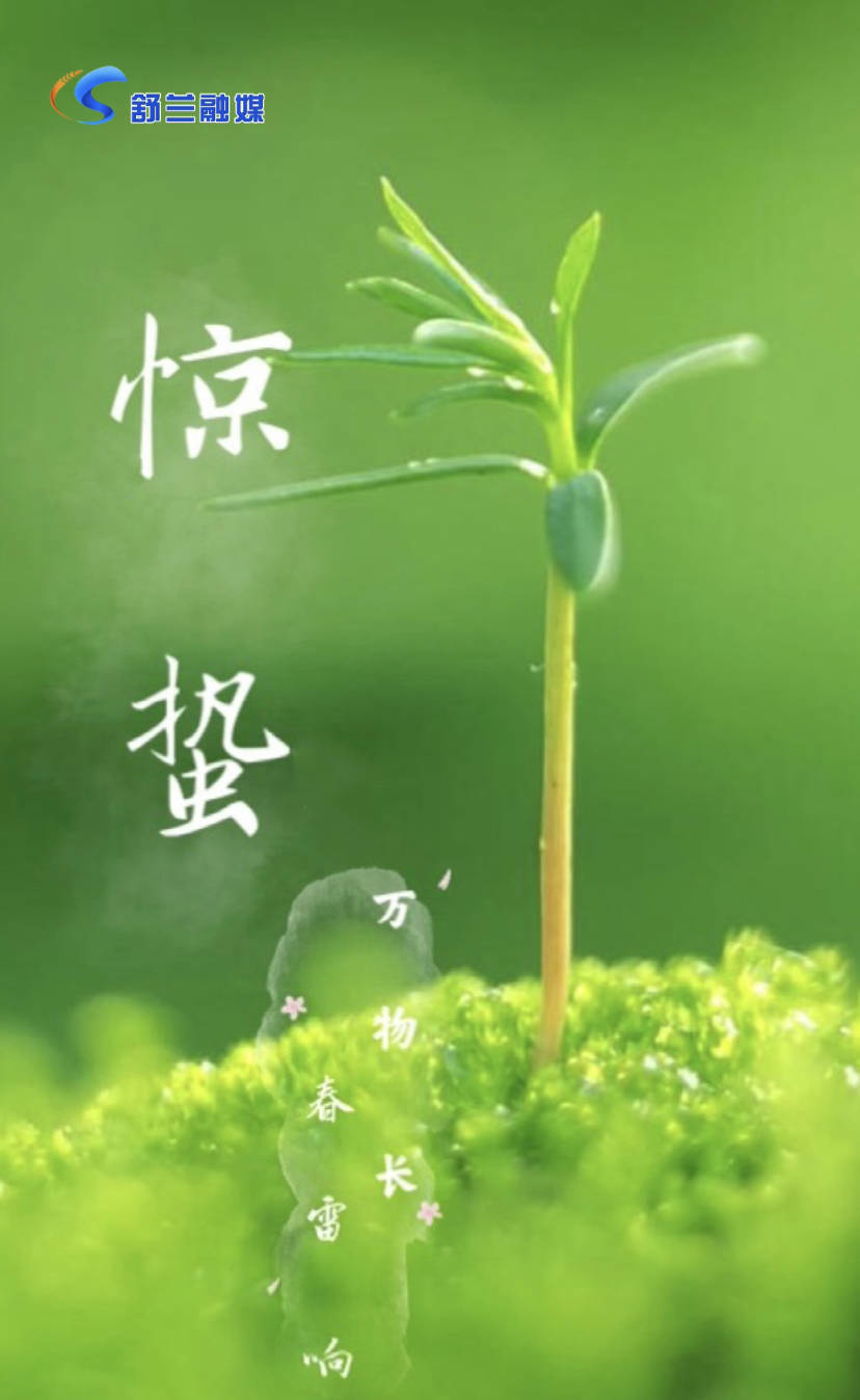 惊蛰