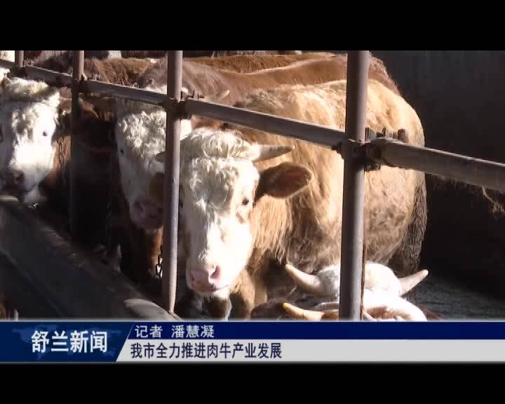 舒兰市全力推进肉牛产业发展
