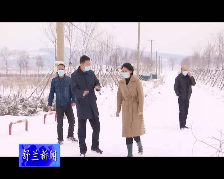 金华检查春季防汛工作并调研绿化苗木情况