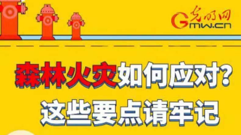 森林火灾如何应对？这些要点请牢记