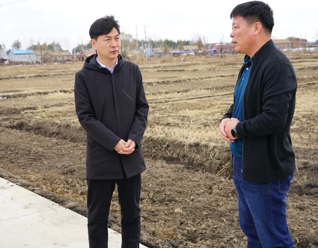【“七边”治理在行动】舒兰市领导到水曲柳镇督导检查“七边”环境卫生治理和绿化工作