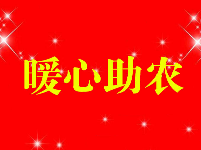舒兰市各基层党组织开展“美化环境 助农春耕”主题党日活动