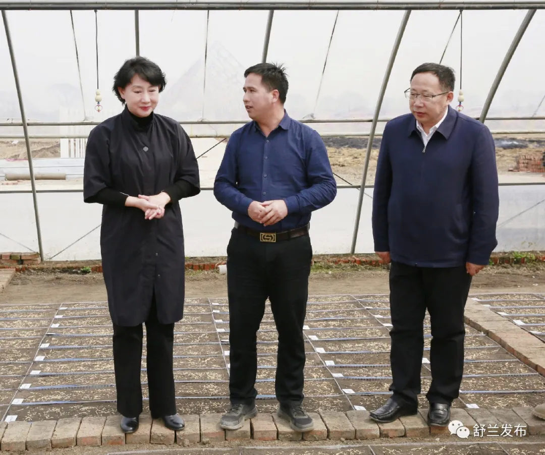 舒兰市市长金华调研备春耕生产和优质水稻品种研发工作