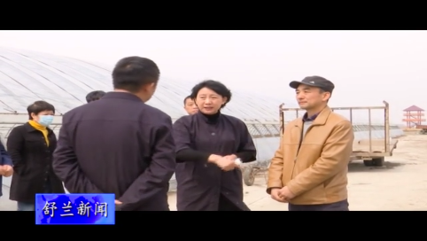 舒兰市市长金华调研备春耕生产和优质水稻品种研发工作