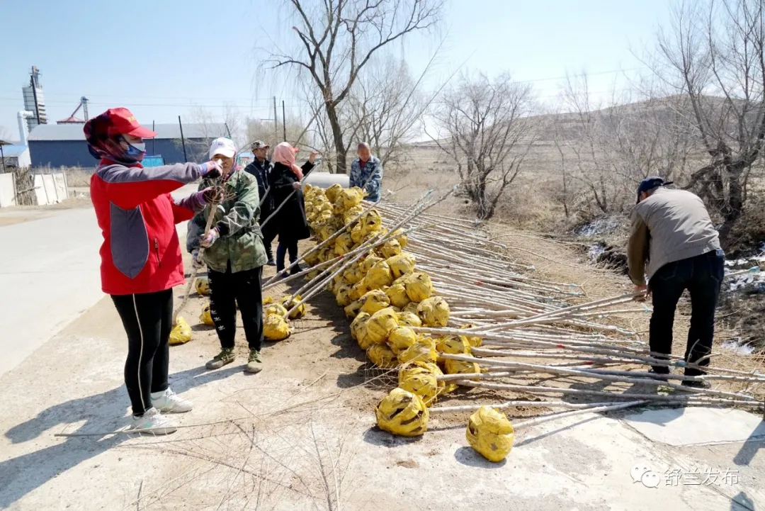 【“七边”治理在行动】舒兰市溪河镇实施“一带五点一园”全面开展“七边”环境卫生治理