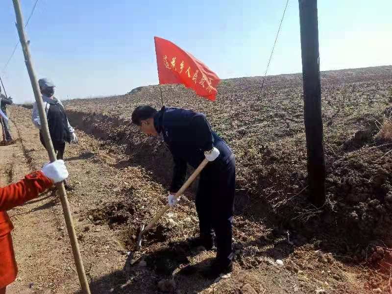 莲花乡联合包保单位开展“义务植树 助力‘七边’治理”主题党日活动