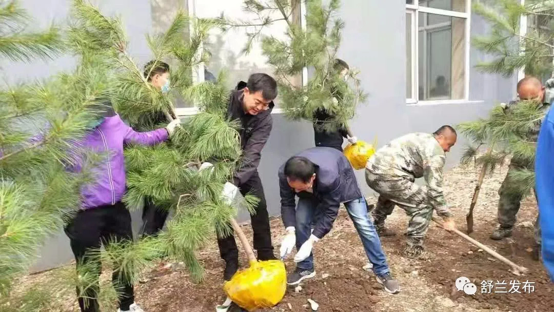 【“七边”治理在行动】舒兰：春风催新绿 植树正当时