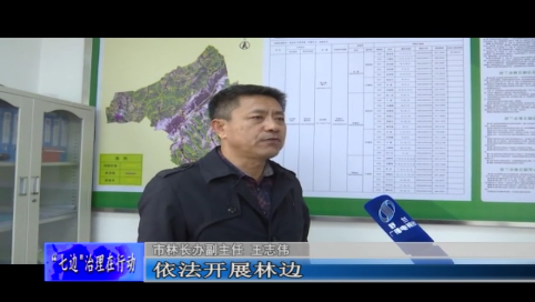 舒兰市林长办深入推进“七边”治理工作