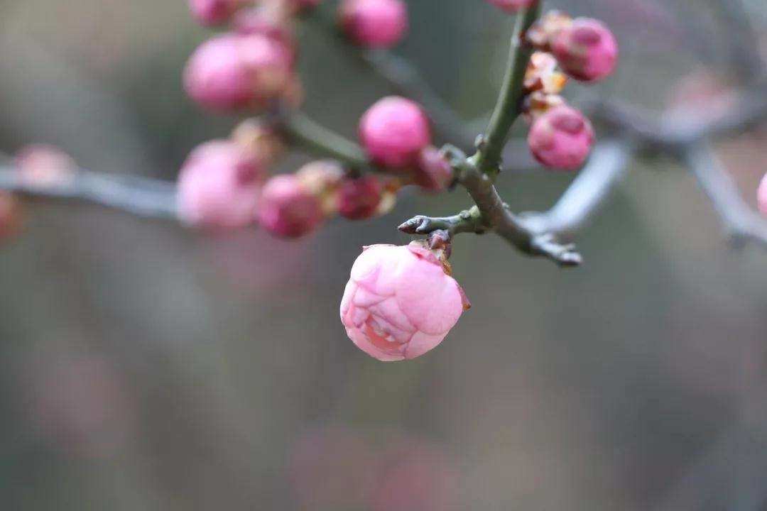 【美文共享】生命花开，温暖常在