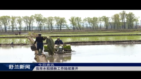 舒兰市水稻插秧工作陆续展开