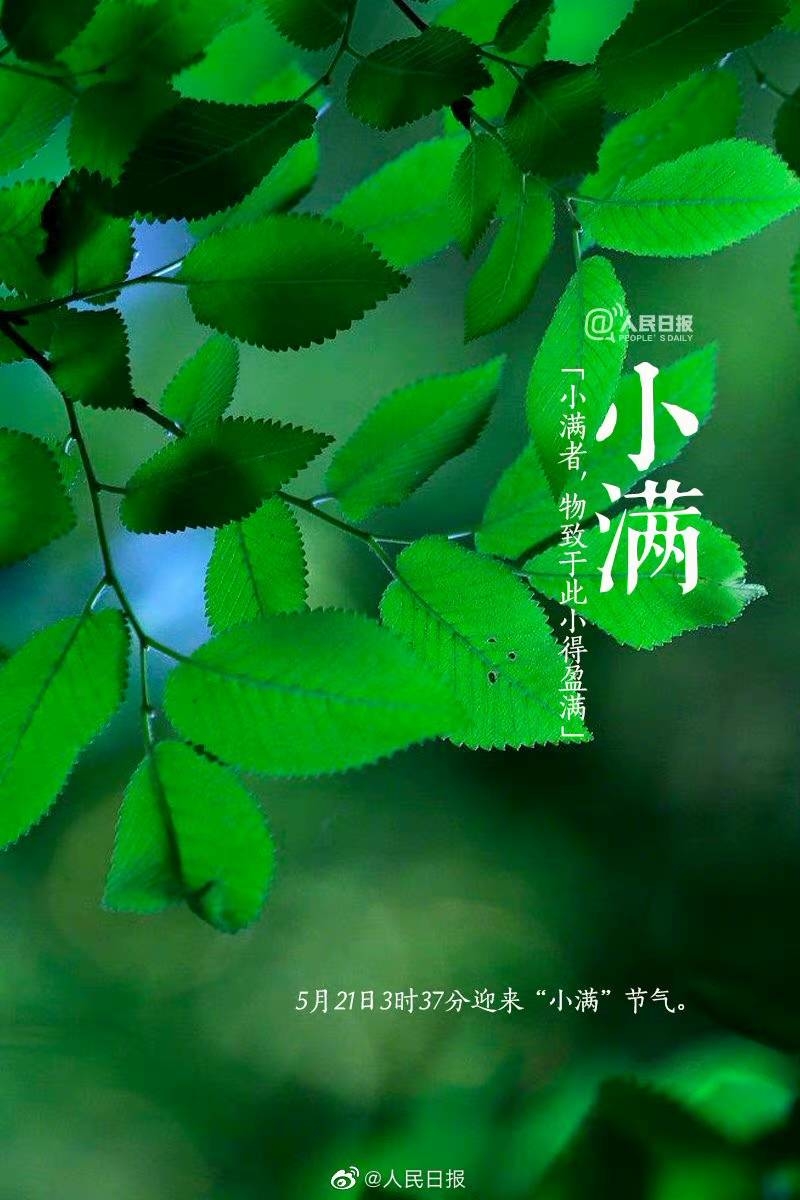 【今日，小满】