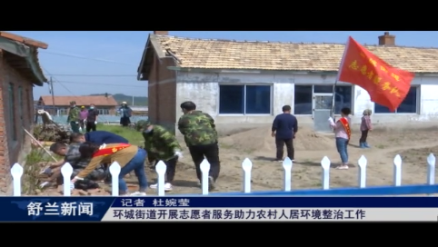 环城街道开展志愿者服务助力农村人居环境整治工作