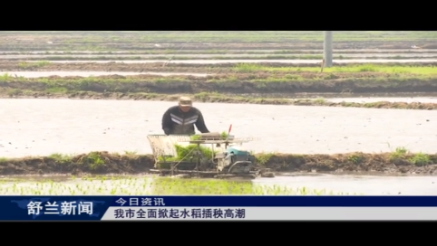 舒兰市全面掀起水稻插秧高潮
