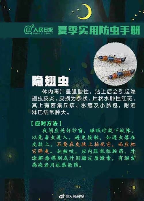 【转发提醒！#飞虫落身上不要随意拍打#】
