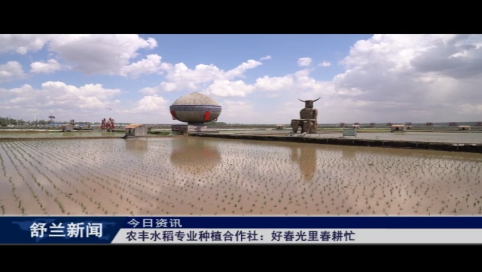 农丰水稻专业种植合作社：好春光里春耕忙