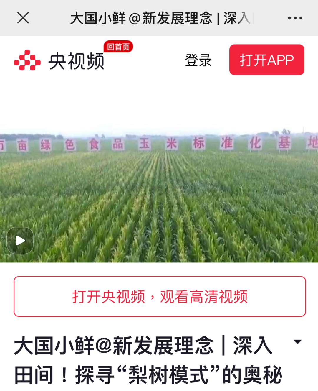 大国小鲜 品鲜吉林 | 雨天留客，“细”品吉林~~