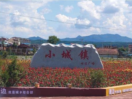 舒兰市小城镇“七边”整治显成效