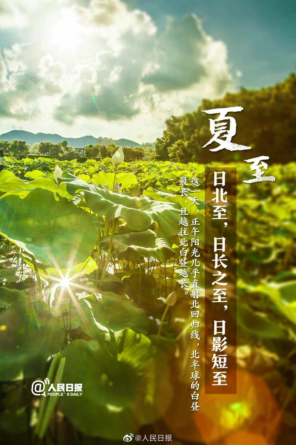 【今天，夏至】