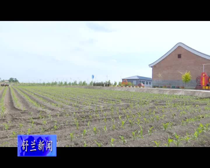 三粱村：乡村振兴在路上