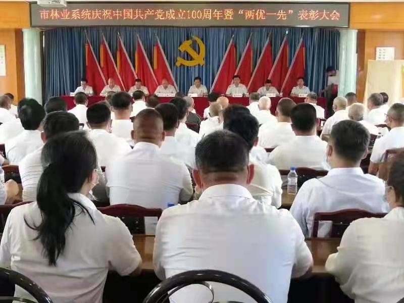 舒兰市林业局召开市林业系统庆祝中国共产党成立100周年暨“两优一先”表彰大会