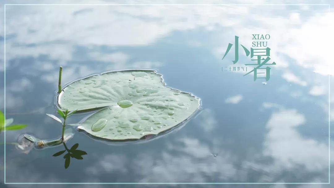 【美文共享】小暑｜风携热浪滚滚来