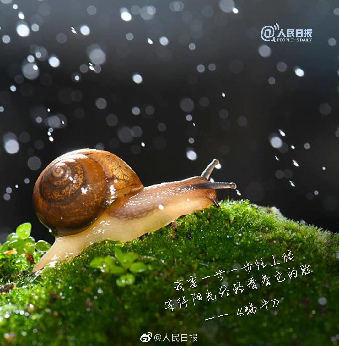 【人生很长，愿你一路如歌】