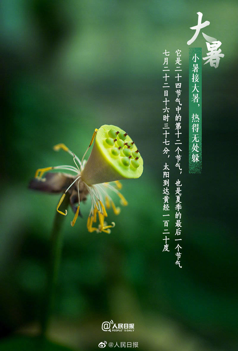 【今日#大暑#】